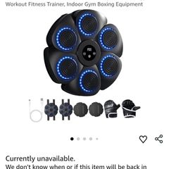 BNIB Wall Mounted Bluetooth Boxing Target With LED Light / Gloves