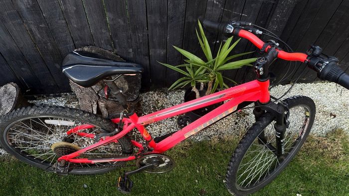 2 kids bikes