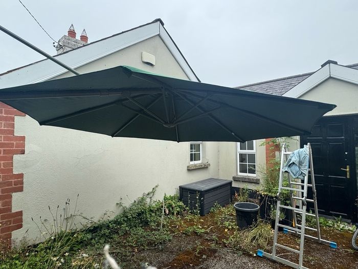 Parasol