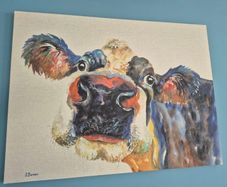 Cow Canvas Must Go ASAP