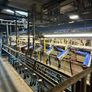 Milking parlor Image 2