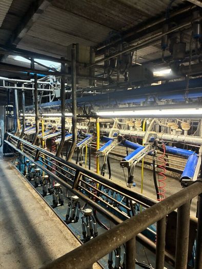 Milking parlor