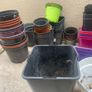 Free pots Image 7