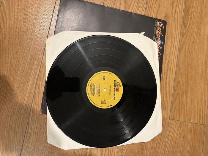 Gordon Lightfood  Vinyl