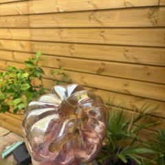 Blown glass Pumpkin