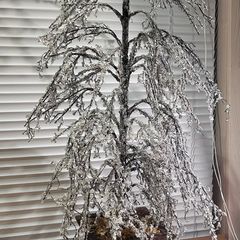 Tabletop Artificial Frostbite Christmas Tree in Wooden Planter.