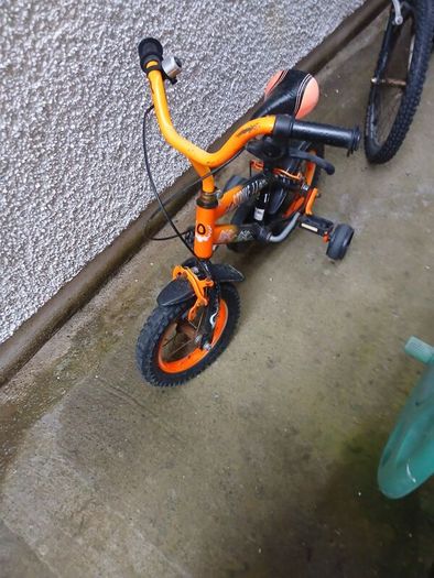 FREE bikes