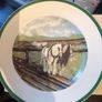 Plate Image 2
