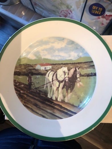 Plate