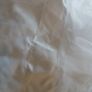 Wedding Dress Image 7