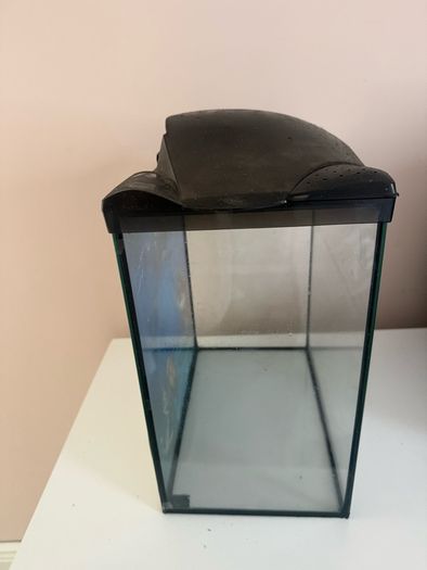 fish tank