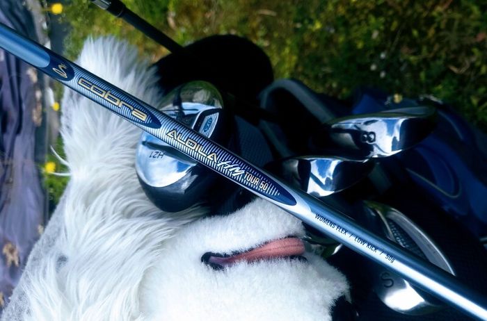 Set of Ladies Golf Clubs