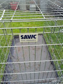 Large dog crate