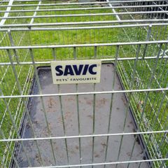 Large dog crate