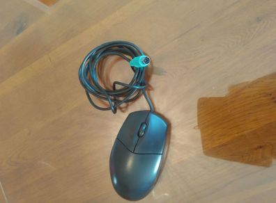 Computer Mouse