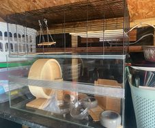 Gorgeous large hamster cage with loads of accessories
