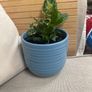 Peace Lily and Ivy plant Image 3