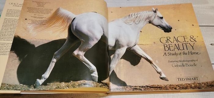 Grace And Beauty A Study Of The Horse Gabrielle Boiselle Large Hardback Book VGC
