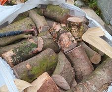 logs