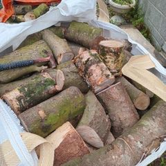 logs