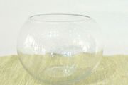fishbowls x8