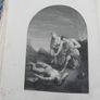 Antique Holy Bible Douay Version Image 8