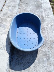 dog bed