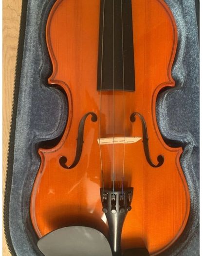 violin