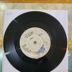 Catrina Lee Portrait Of Love  Fell Into Love 1988 Epic 7 inch