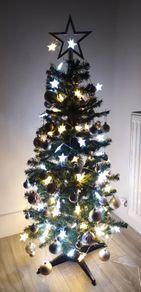 Christmas tree with accesories
