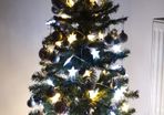 Christmas tree with accesories