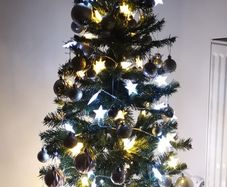 Christmas tree with accesories