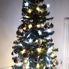 Christmas tree with accesories