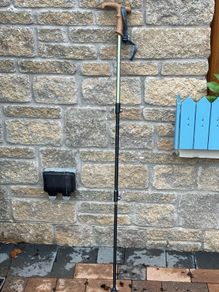 Walking pole