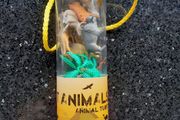 Toy Desert Animals