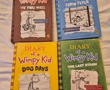 Diary of a wimpy kid books