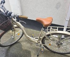 ladies Bike