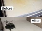 Sofa, Carpet & Upholstery Cleaning Image 5