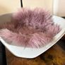 Bama Nido Plastic Pet Bed with plush cushion Image 9