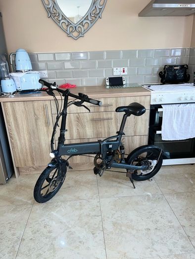 Fiido Folding Electric Bike
