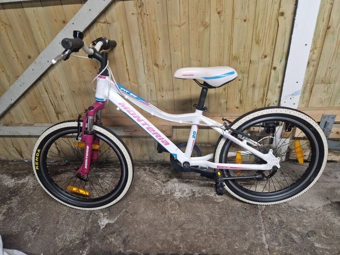 Girls 20" Bike