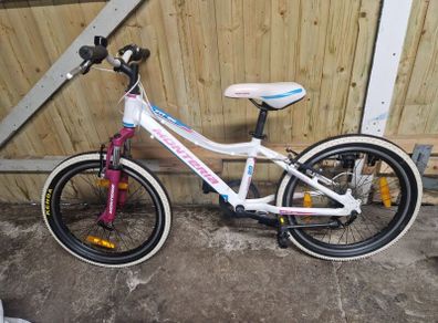 Girls 20" Bike