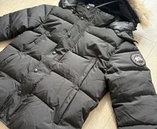 Canada goose