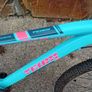 Ladies /teens Bicycle Image 2
