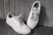 trainers