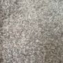 carpet Image 3
