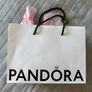 Pandora bag Image 2