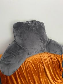 Reading Pillow (great condition)