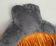 Reading Pillow (great condition)