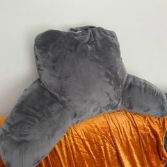 Reading Pillow (great condition)